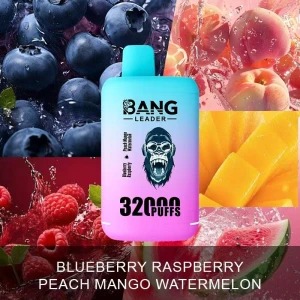 Bang Leader 32,000 Puffs Rechargeable Disposable Vape