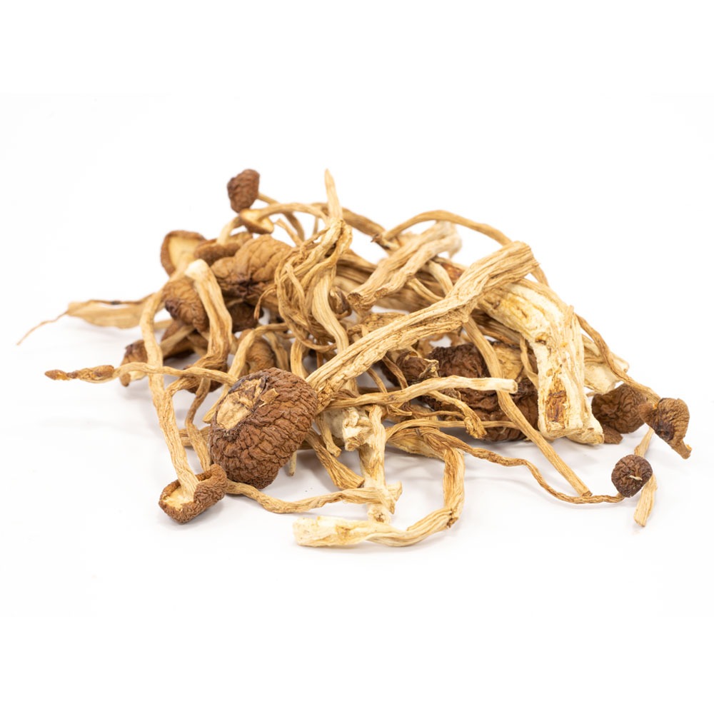 Psilocybe Mexicana magic mushrooms for sale at Vapeshrooms
