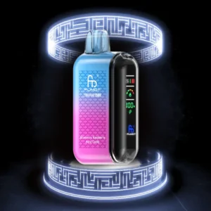 RandM Tornado 20000 Puffs Disposable Vape Box of 10 – Bulk Long-Lasting E-Cigarettes