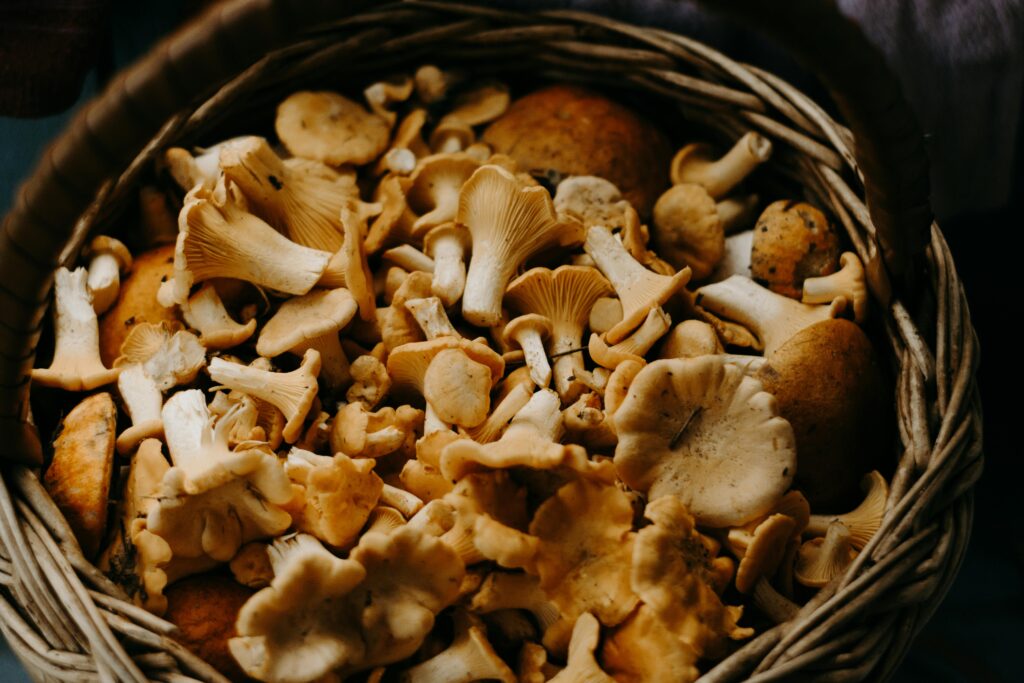 A close-up shot of fresh Chanterelle mushrooms in a woven basket, perfect for culinary uses.